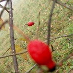 Cutting the Ties by Phyllis Krystal Method