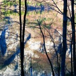 Cutting the Ties to Worrying