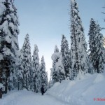 Be Careful What You Wish For