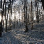 A Bipolar in a Movie Theater