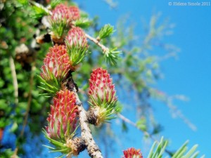 Inner_Destigmatization