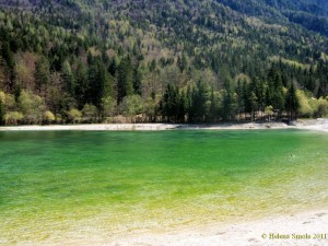 The Cure Called Humor