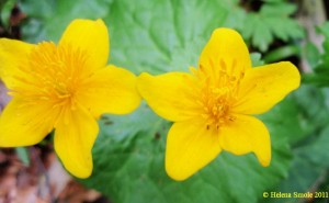 It Is Time to Join Forces