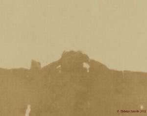 Face It - Nobody Is Perfect