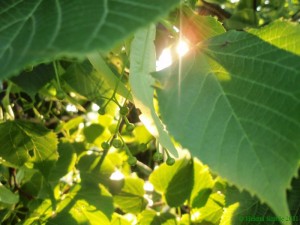 The Past Is Over and Done