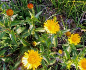 How to Be a Loser and Survive?