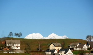 Wonders of Nature: Snow in the Distance