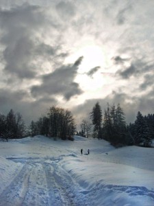 The True Value of Inspiration