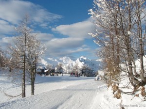 Being in Love Is Like a Scholarship