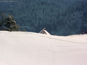 You Don't Necessarily Need a Scholarship