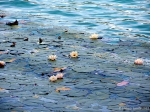 The Trap of Being a Pessimist