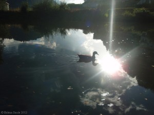 How to Grow Old together