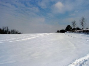 You, Mental Illness and the Rest of the World