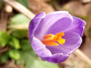 Work for people or work against them