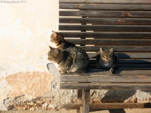 The Inexhaustible Wish for Others to Change