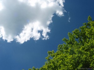 self-defense against a client