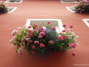 The Curious Incident with the Dog in the Daytime