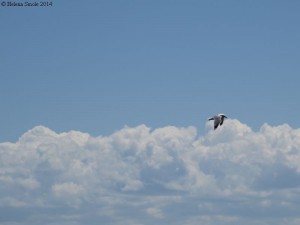 new technology addiction prevention