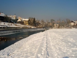 tolerance and coexisting