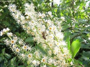 “In sadness hope, in gladness fear” is about probability.