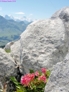 Overthinking about the future is energy-consuming.