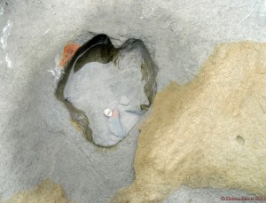 Positive thinking in action.