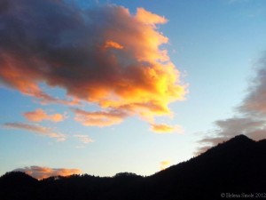 Don’t just read, but become fluent in self help.