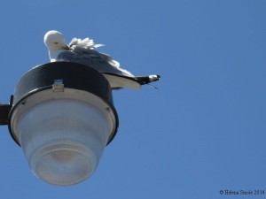 If at first you don’t succeed, try try again. 