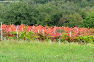 No peace of mind without worries.