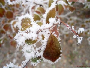 The dream represents my redundant worries and back-up plans, which know no end sometimes.