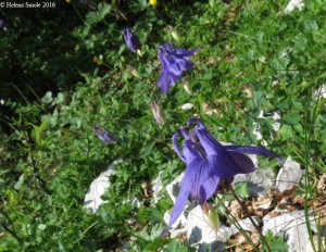 What I am most afraid of is making a mistake.