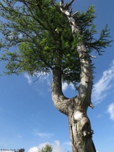 Success vs. happiness are two separate notions.