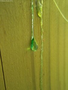 Sometimes people say to me that on my death-bed I will be sorry for having worried so much.