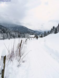 Inspired by Benjamin Franklin I developed my own method of improving my writing. 