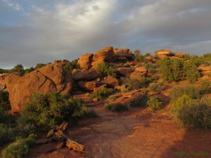 Maybe the development of patriarchal societies was a coincidence. 