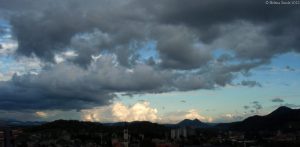 The virus killed the writer in me?