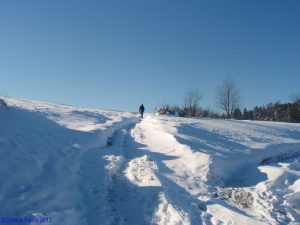 In seven billion years the Sun the Earth might absorb.