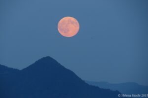 It is a fine line between being careful and showing a mental illness symptom called anxiety.