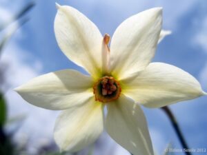 Words are like children.