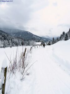 I wish you a Merry Christmas and a Happy New Year!